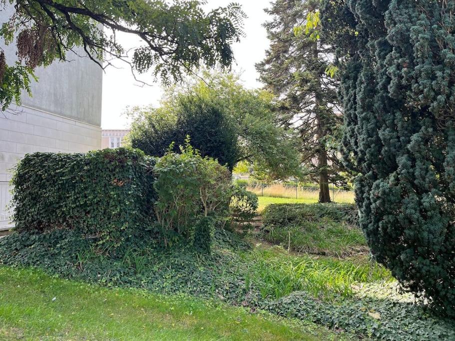 Gites Maisons De Champagnes Reims Exteriör bild